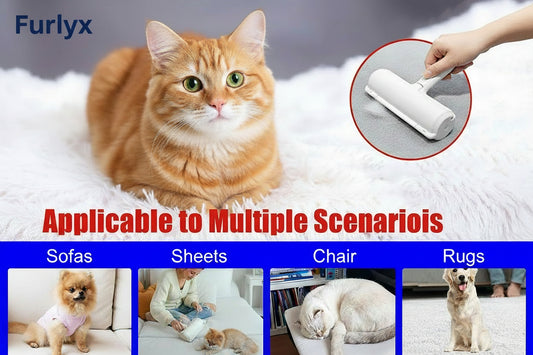 Cat on a sofa with cleaning tool and images of pets on different surfaces.